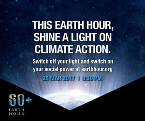 Earth Hour party
