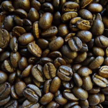 生コーヒー豆/ローストコーヒー豆