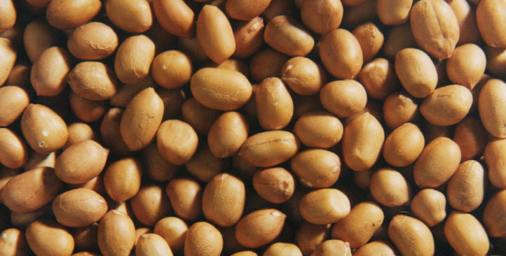 Fallstudie: Sortierung von Erdnüssen