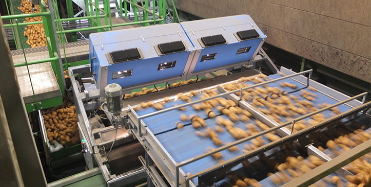 فرز البطاطس بشركة Nedato بواسطة آلة فرز البطاطس في الحقل (FPS) من إنتاج TOMRA