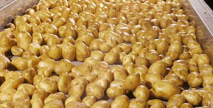 TOMRA Sorting posee una solución para la clasificación de productos de la patata