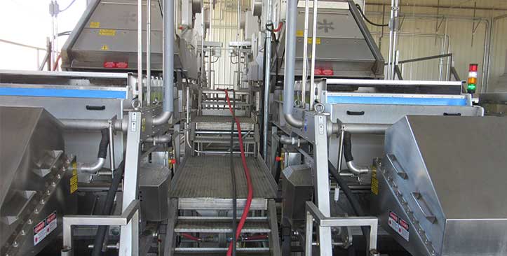Sun Valley Raisins uses TOMRA sorting equipment for its raisin sorting