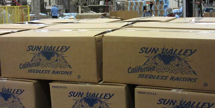 Sun Valley Raisins uses TOMRA sorting equipment for its raisin sorting