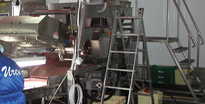 Sortiermaschine für gefrorene Himbeeren bei Uren Novaberry
