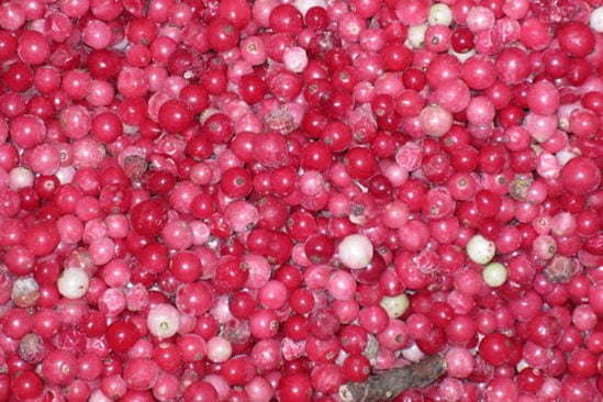 Red berry sorting