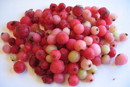 Red berry sorting