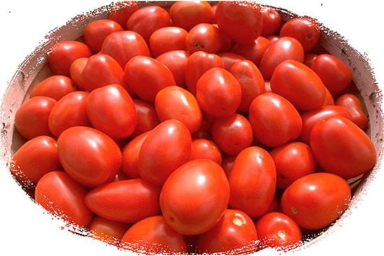 Tri des tomates