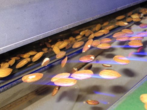 Almond sorting machine