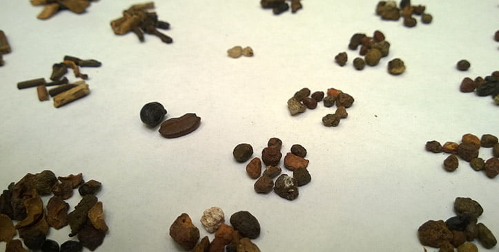 Foreign material detection in coffee beans