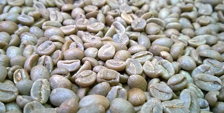 Sortieren von grünen Kaffeebohnen und geröstetem Kaffee