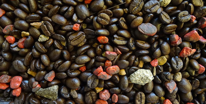Sorting foreign material in roasted coffee beans