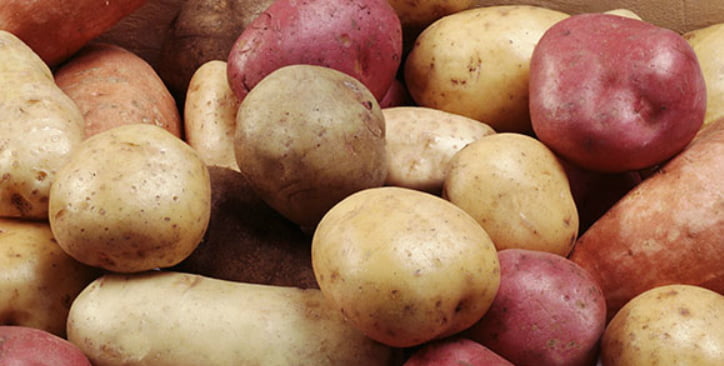 Línea de procesamiento y clasificación de patatas