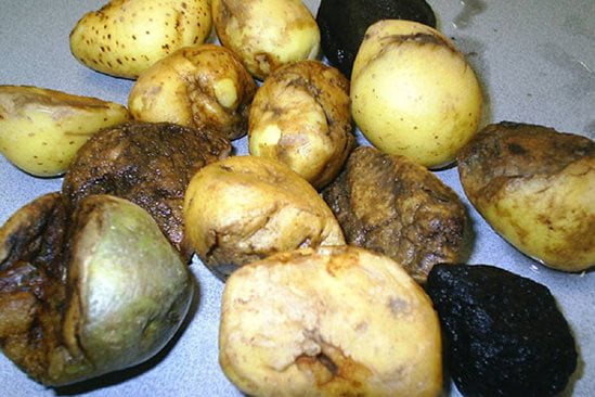 Сортировка мытого картофеля