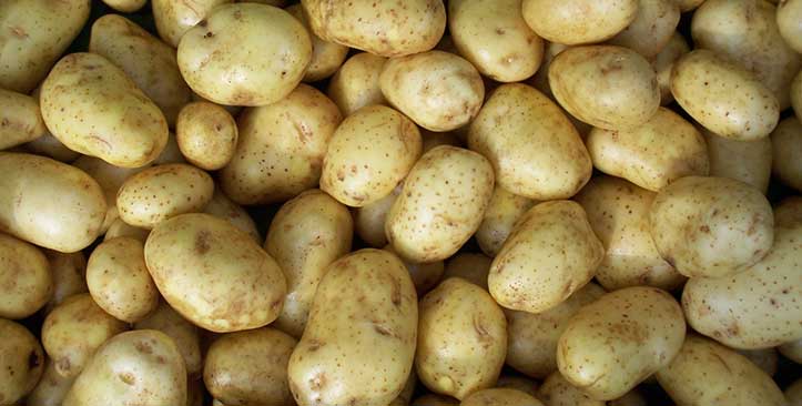 Sortierung von gereinigten Kartoffeln