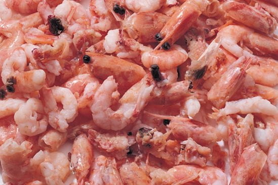 Shrimp sorting