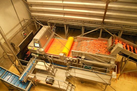 Сортировочная установка для моркови