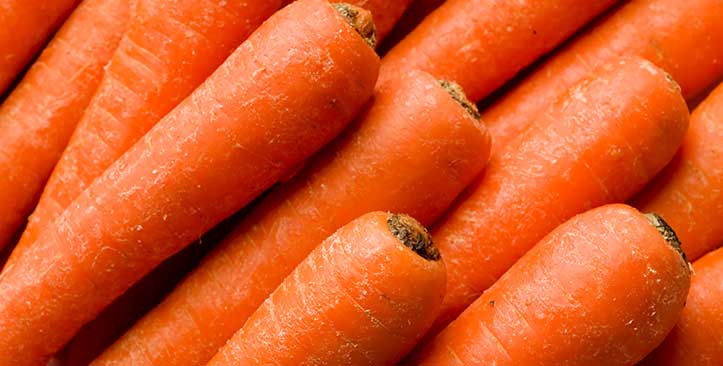 Clasificación de zanahorias