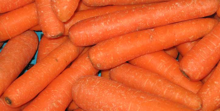 Carrot sorting