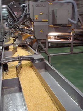 Corn sorting machine