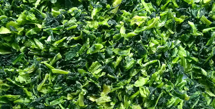 Dehydrated spinach sorting by TOMRA