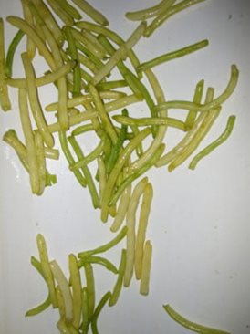 Sortowanie fasolki szparagowej