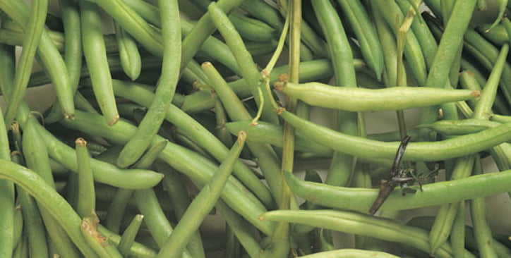 Green beans sorting