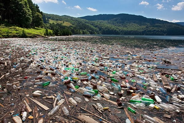 Plastic bottle polution